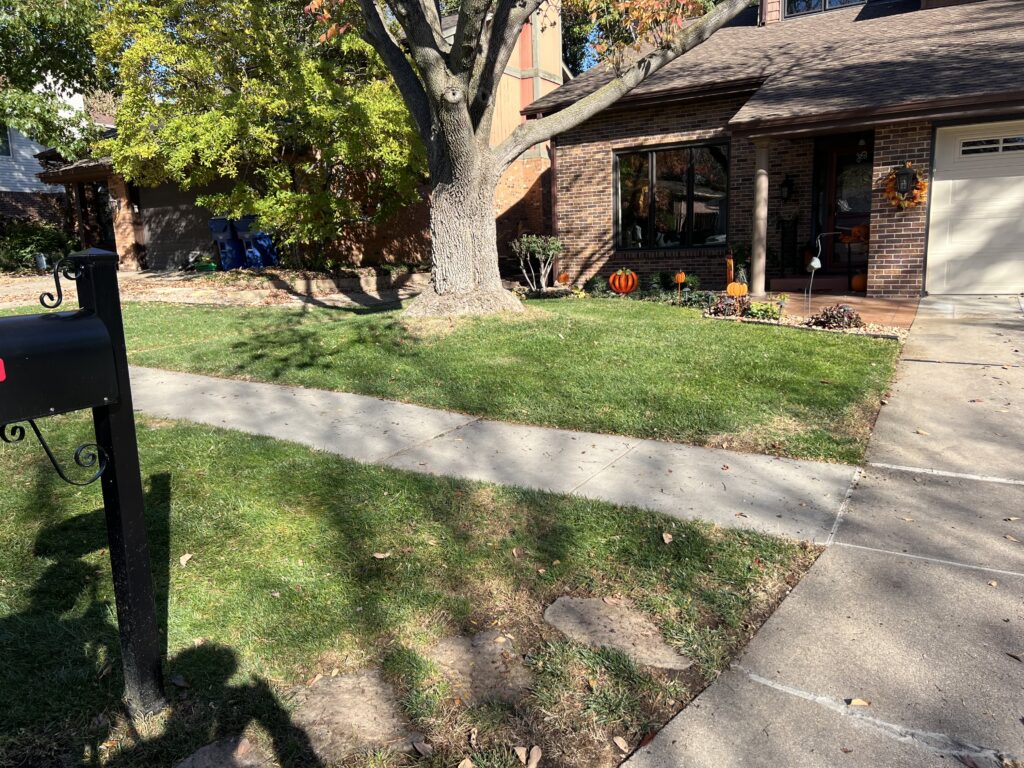 a lawn we take care of showing it after removal of the leaves