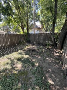 back yard before landscaping