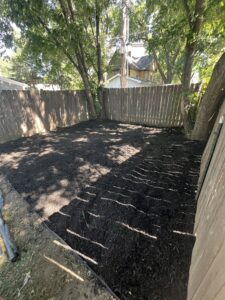 back yard after landscaping