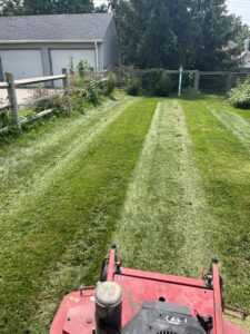 cutting the grass along a fence line