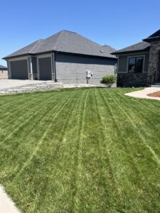 new build lawn care