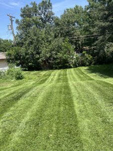 straight lines of grass after mowing