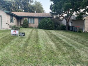 grass cut in beautiful rows