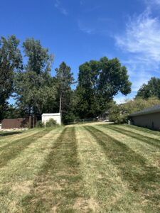 our professional lawn care in Lincoln ne