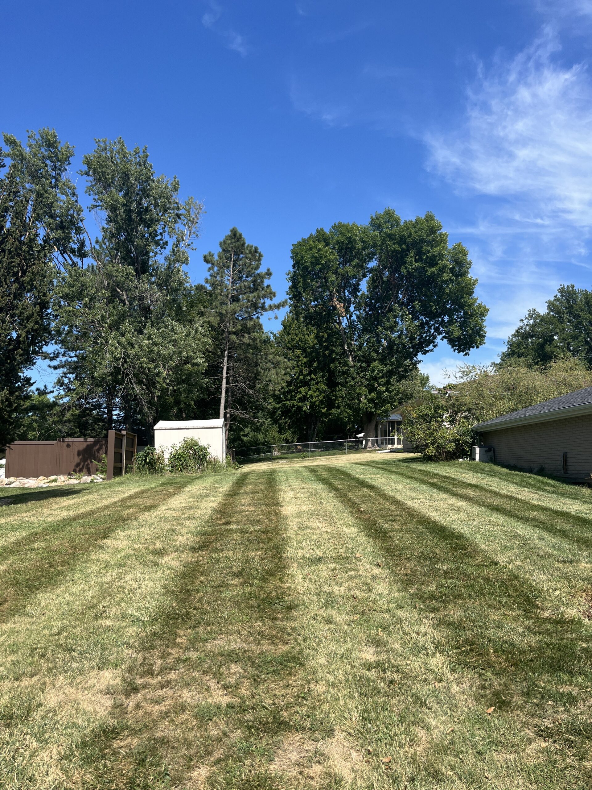 our professional lawn care in Lincoln ne